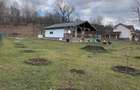 Casa de vacanta premium de vanzare in Breaza-intimitate, natura - 8