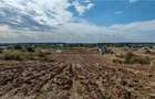 Ferma 3,3ha, din care 2,5ha intravilan, vila 7 camere, D+P+E+M, casa p - 11