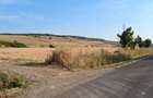 Teren de 2000 mp, în Petelea - 1