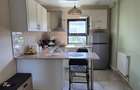 Studio Luxury 41 mp Aviatiei - Herastrau - 4