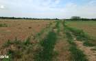 Teren extravilan de vanzare | Peris | 10.000 mp | Investitie sigura