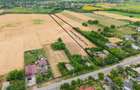 Casa gospodareasca cu teren generos 1,1 Ha in Silistea, Com. Todiresti - 3