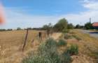 Vand teren intravilan - 4