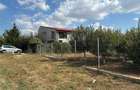 Proprietate deosebita in Sacalaz: Duplex 5 camere si teren suplimentar cu CF separat - 12