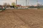 Teren Intraviland 2000mp SAT POIANA, STRADA ALBATROS