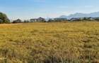 Teren proprietate 17800m,patrati,zona Subcetate,Sanpetru Brasov