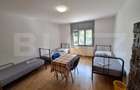 Vila mare, muncitori, 11-16 camere, 5-10 bai, mobilata, Tim - 6