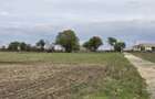 Comuna Amzacea- sat G.Scari?oreanu -Ferma zootehnica , teren 5,1ha - 6