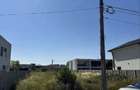 Teren intravilan 556 mp ghiroda | autoriza?ie de construire p+1e + piscina - 3