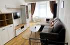 Apartament cochet 2 camere 40mp cu parcare zona Doamna Stanca - 3