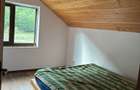 Cabana Valea Draganului - 8