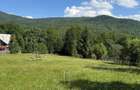 Teren intravilan 1662 mp pozitie superba-Calea Brasovului Valea Neagra - 17
