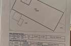 Casă cu Teren 1002 Mp în Albeni - 4