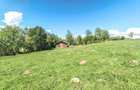 Bran Sohodol,5783 mp,P+E+M-Ideal pensiune /proiect turistic,Comision0% - 8
