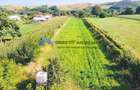 TEREN intravilan 6764 mp DRAGOMIREȘTI - VAD
