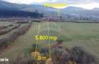 Teren 5.800 mp Purcareni curent, gaz, apa / Strada 30 decembrie