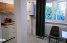 Apartament cu 1 camera de inchiriat Mazepa Rosiori - 12