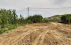 Persoana fizica vand teren in localitatea Vladiceni - 4