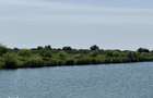 Balta de Pescuit, Cabana din Busteni, Teren 6,37 ha, langa Oradea - 4