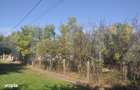 Vanzare Casa / Fratelia teren 580mp - 2