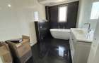 Penthouse de vanzare.(Zona 13 Septembrie) - 11
