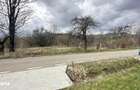 Proprietar vand teren in Brebu Nou 2877 mp - 6
