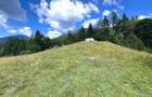 Teren intravilan Colibita 2300 mp panoramic