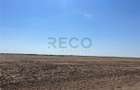 RECO Teren extravilan Tulca 18100 mp - 4
