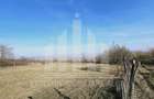 Teren intravilan | De vanzare | 700 mp | 31 ml deschidere | Podei