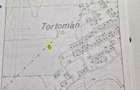 Teren intravilan Tortoman - 2