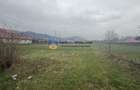 Teren 1200 mp Vadurele - comuna Alexandru cel Bun , cu utilitati - 5
