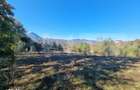 Teren pentru casute de vacanta - Poiana Marului - vedere la M. Piatra - 2