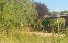 Teren Construcții intravilan de 3000 mp, în Sopor - 4