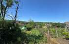 Rediu , 2500 mp , 64 ml deschidere - 3