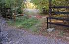 Baile Chirui ,teren 34500 mp , cabana 3 camere curent si apa ,5,5 Euro mp - 7