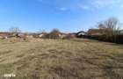 Vand proprietate cu 2 case in Pestisu Mare-Hunedoara, teren 2261mp... - 9