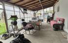 Casa 2 camere | Vucova | 1449 mp teren - 6