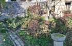 CASA 3 CAMERE SI CURTE - GIULESTI STRADA ARTARULUI - TEREN 296 MP - 7
