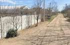 vand teren intravilan Malu Mare 1500 mp - strada Salcamilor - 3