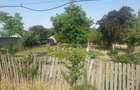 Vand CASA cu TEREN in Ghimpati