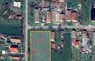 Vand teren intravilan Jebel 5 parcele, intre 500-750mp bucata - 4