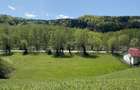 Vand Teren Munte - Intravilan 1800mp