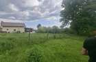 vant urgent teren 5000mp in localitatea hales - 2