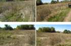 Teren Branceni, ID: R2942560 - 2
