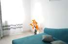 Apartament cu 2 camere nedecomandat în Poiana Țapului - 8