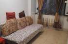Lizeanu Radu de la  Afumati  gaesoniera cf 3 , 16 mp , 32000 eur - 1