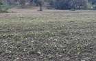Teren de 4200 mp, în Hodac - 1
