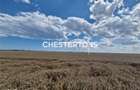 Teren extavilan 4000 m.p. , localitatea Corbu , posibilitate introduce