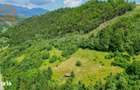 Investitie Smart in Moieciu, 3.1 ha, Panorama 360 Bucegi - Piatra Crai - 10