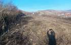 Teren de vanzare - loc. Sard - 1700 m2